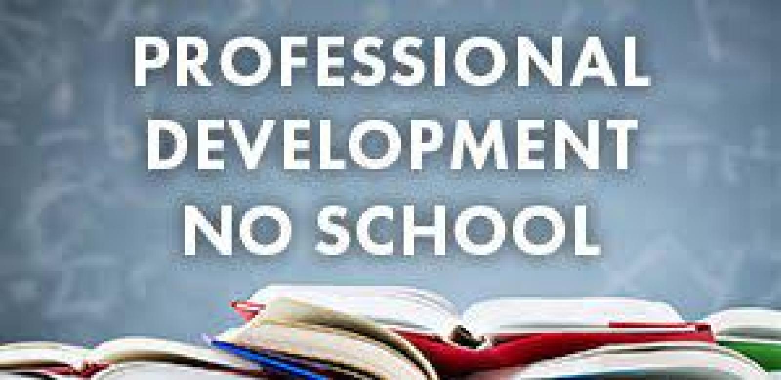 Professional Development Day October 21st 2022 Palmer Secondary School